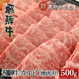 【ふるさと納税】飛騨牛 カルビ焼肉用（500g）【冷凍】最高級 国産 牛肉 肉 和牛 赤身 人気 ブランド牛 和牛 焼き肉 やきにく BBQ バーベキュー 下呂温泉 飛騨 ギフト 贈り物 贈答 赤身 霜降り 父の日 母の日 お中元 お祝い 26000円 岐阜県 下呂市