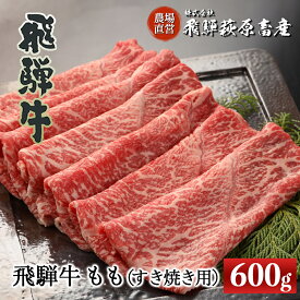 【ふるさと納税】飛騨牛 ももすき焼き用 600g 【冷凍】最高級 国産 牛肉 肉 和牛 赤身 人気 ブランド牛 和牛 すきやき スキヤキ 下呂温泉 飛騨 ギフト 贈り物 贈答 赤身 霜降り 父の日 母の日 お中元 お祝い 33000円 岐阜県 下呂市