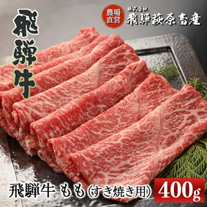yӂ邳Ɣ[Łzˋ Ăp 400g yⓀzō Y   a Ԑg lC uh a ₫ XLL C  Mtg 蕨  Ԑg ~ ̓ ̓ 