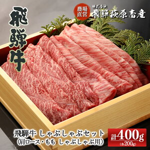 yӂ邳Ɣ[Łzˋ ԐgԂԃZbg v400gi 200gE[X 200gjyⓀz ō Y   a Ԑg lC uh aC  Mtg 蕨  Ԑg ~