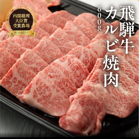 【ふるさと納税】飛騨牛 カルビ　600g　【冷凍】和牛 ブランド牛 贈り物 焼肉 霜降り 牛肉 肉 和牛 赤身 人気 カルビ アウトドア お中元 父の日 敬老の日 母の日 お祝 31000円 岐阜県 下呂市