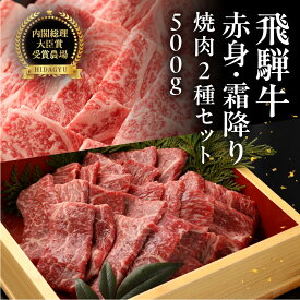 【ふるさと納税】飛騨牛 ロース・赤身 焼肉 セット（ロース200g・赤身300g）計 500g 牛肉 ブランド牛 お肉 肉 焼き肉 焼き肉用 おすすめ 飛騨萩原畜産 【冷凍配送】 食べ比べ 贈答 ギフト 人気 下呂市 牛肉 和牛 黒毛和牛