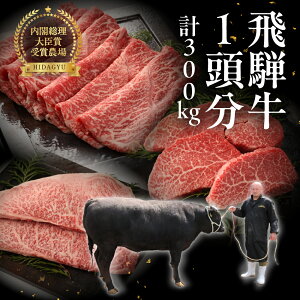 yӂ邳Ɣ[ŁzyցzˋꓪHׂiő 36jd 300kg  uh   ˔{Y  C  ꓪ ē Ă Ԃ Xe[L  q 