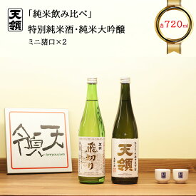 【ふるさと納税】 【天領酒造】「純米 飲みくらべ」Bセット（各 720ml×1本）ミニ利き猪口×2個 お酒 日本酒 大吟醸 純米酒 蔵元 下呂温泉 おすすめ 飛騨 贈答品 贈り物 ギフト プレゼント お歳暮 お中元 父の日 母の日 敬老の日 成人の日 成人式 14000円 岐阜県 下呂市