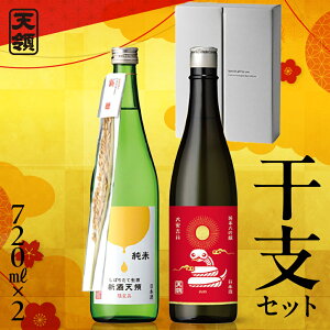 【ふるさと納税】(2025年11月末より順次発送)(干支セット)純米しぼりたて生酒 新酒天領 720ml・純米大吟醸干支ラベル 720ml 酒 お酒 純米大吟醸 天領 下呂市 飲み比べ  日本酒 岐阜県