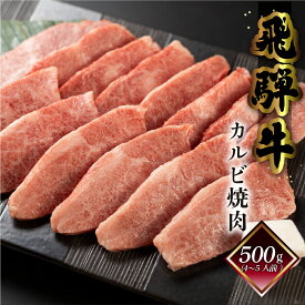 【ふるさと納税】菊の井 飛騨牛 カルビ 焼肉 500g（4〜5人前） 焼肉用 おすすめ 牛肉 肉 和牛 赤身 人気 ブランド牛 肉ギフト 国産　贈答品 焼き肉 やきにく ギフト 【冷凍】 23000円 岐阜県 下呂市 年末発送 年内発送 年内配送 年末に届く
