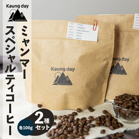 【ふるさと納税】「Kaung day」ミャンマースペシャルティコーヒー豆 2種セット（ウォッシュド・中深煎り / ナチュラル・中煎り（各100g））豆 コーヒー 珈琲 コーヒー豆 カウンデー スペシャルティ カフェ 9000円
