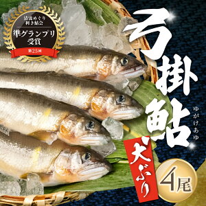 �y�ӂ邳�Ɣ[�Łz�i2026�N8�����{�����甭���j���̋|�|���@4���ȏ� ��^�i1�� ��80g�O��ȏ�j�v320g�ȏ�y�Ⓚ�p�b�N�z�z�� ���� �A�� �䂪�� ���C�s ���R �N���u�n�E�X�n����