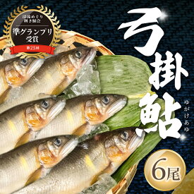 【ふるさと納税】（2026年8月上旬頃から発送）【期間限定】幻の弓掛鮎 6尾セット（総重量 300g以上）【冷凍パック】鮎 あゆ アユ ゆがけ 下呂市 金山 クラブハウス馬瀬川