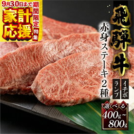 【ふるさと納税】【家計応援】菊の井 飛騨牛 赤身 ステーキ 2種セット　400g / 800g （ イチボ / ランプ）牛肉 赤身ステーキ 希少部位 人気 ブランド牛 国産 ステーキ ギフト【冷凍】 23000円 / 40000円 岐阜県 下呂市