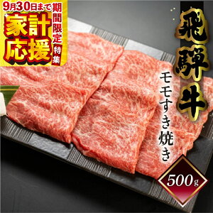 yӂ邳Ɣ[Łzëˋ Ă 500gi4`5lOjˋ C    a Ԑg lC uh Mtg Y@i  Mtg ₫@yⓀz 22000~ 