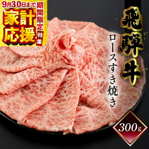 yӂ邳Ɣ[Łzyƌvzë ˋ [X Ă 300gi2`3lOj ~ C    a lC uh Mtg Y i Mtg ₫ [XyⓀ
