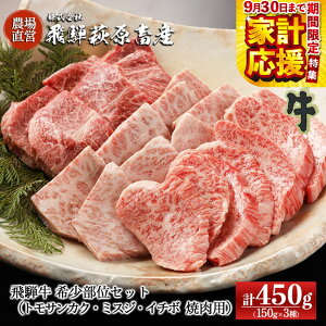 yӂ邳Ɣ[Łzyƌvzˋ󏭕ʏēZbg v450gigTJN 150gE~XW 150gEC`{ 150gjyⓀzō Y  uh a e Ă BBQ o[xL[ 