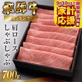 【ふるさと納税】【最高級】 飛騨牛 A5ランク 肩ロース しゃぶしゃぶ 500g / 700g 冷蔵 下呂温泉 牛肉 おすすめ 肉 和牛 霜降り ブランド牛 肉ギフト しゃぶしゃぶ用 ギフト 30000円 3万円 / 40000円 4万円 岐阜県 下呂市