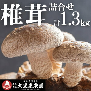 �y�ӂ邳�Ɣ[�Łz�ۏ����ő� �l�ߍ����Z�b�g�i4�p�b�N�{3�܁j7�i �@�v1.3kg ���ő� �������� �V�C�^�P ���������� ���C���� �y�单���_���z