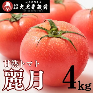 �y�ӂ邳�Ɣ[�Łz��s�\��y���Ԍ���z�i2026�N7����{�����珇�������j�单���_�� �Ïm�g�}�g �팎 L�T�C�Y 4kg ���C�Q�c �Ƃ܂� ���C�s�y�单���_���z