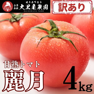 �y�ӂ邳�Ɣ[�Łz�i�󂠂�j��s�\��y���Ԍ���z�i2026�N7����{�����珇�������j�单���_�� �Ïm�g�}�g �팎 2L�`3L ��T�C�Y 4kg�ȏ� ���C�Q�c �Ƃ܂� ���C�s�y�单���_���z