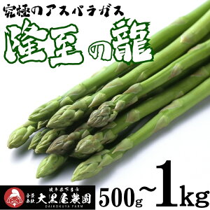 �y�ӂ邳�Ɣ[�Łz��s�\��y���Ԍ���z�i2026�N5�����珇�������j�����A�X�p���K�X �����̗� 500g�i��25�{����j���M�����[�T�C�Y �A�X�p�� ���C�s ���� ������� �u�����h�y�单���_���z