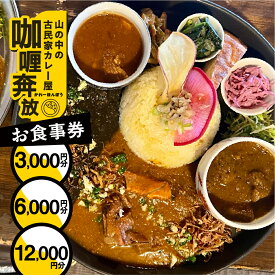 【ふるさと納税】【カレー奔放】食事券（3,000円～12,000円分）カレーホンポウ 食事 カレー ランチ ディナー キッチンカー 飲食 テイクアウト 旅行 下呂市 食事券 下呂 岐阜県