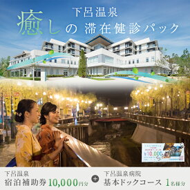 【ふるさと納税】下呂温泉癒しの滞在健診パック（基本ドックコース 1名様分と下呂温泉宿泊補助券 1万円分）スタンダードコース【岐阜県立下呂温泉病院 総合健診センター】日帰り 健診 人間ドック 健康診断 ドック 検診 生活習慣病 予防 下呂市