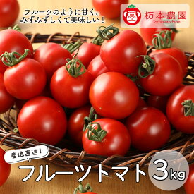 【ふるさと納税】《先行受付》【発送期間：2026年7月上旬頃から順次発送】　産地直送！杤本農園 フルーツトマト 3kg入り 華小町 はなこまち ミニトマト ミディトマト 新鮮 下呂温泉 おすすめ デザートトマト 高糖度 期間限定 季節限定 17000円 岐阜県 下呂市
