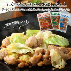 【ふるさと納税】ミズホのケイちゃん チキンディンティセット（みそ×3 しょうゆ×3 しお×3） 計9個 冷凍配送 けいちゃん ケイちゃん 鶏ちゃん 鶏肉　味噌 醤油 塩 バーベキュー BBQ 下呂温泉 おすすめ 味付け 焼くだけ 鶏肉料理 おかず 惣菜 時短 簡単料理 10000円 1万円