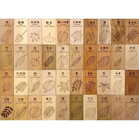 【ふるさと納税】広葉樹見本帳「森の響」 　木 種類 見本 標本 広葉樹 学び 下呂温泉 木製 プレゼント ギフト 贈り物 贈答品 QRコード サンプル板 インテリア 教材 83000円 岐阜県 下呂市