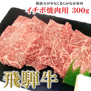 yӂ邳Ɣ[Łz ëˋ C`{ē 300gi2`3lOjˋ C    a Ԑg lC uh Mtg Y@i ē ₫ɂ Mtg C`{@yⓀz 1500