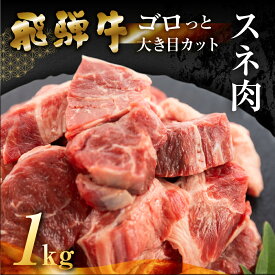 【ふるさと納税】飛騨牛 煮込み用 スネ肉　切り落とし 1kg（500g×2）冷蔵 牛肉 ブランド牛 牛 下呂市 GGシェフ 下呂魚介 切り落し　カレー シチュー カット肉