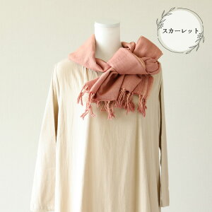 yӂ邳Ɣ[Łzy󒍐zؐRbgXg[ Rbg100 65cm×180cm×[6cm yMtgz GRobN TuobN v[g  e ؐ C   Ru