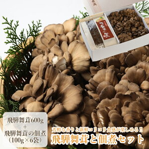 yӂ邳Ɣ[Łz˕ƒώς̃Zbg@(˕ 600g E̒ώ 600gi100g×6܁j  }C^P ܂ C  ̂ ώ y  TVŏЉꂽi erŏЉ 