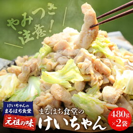 【ふるさと納税】鶏ちゃん発祥の名店「まるはち食堂」こだわり抜かれた下呂の味！！けいちゃん 480g×2（約6人前）冷凍　下呂温泉 鶏肉 B級グルメ 人気 ご飯のお供 バーベキュー アウトドア まるはち ケイちゃん 12000円 岐阜県 下呂市