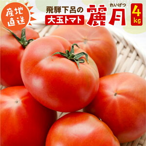 �y�ӂ邳�Ɣ[�Łz��s�\�� ����Ԍ����i2026�N7�����{�����珇�������j�Y�n�����I��˃g�}�g �팎���20�ʁi4kg�j ���C�s �Ƃ܂� �g�}�g �V�N ��� ���C�Q�c �ꂢ����