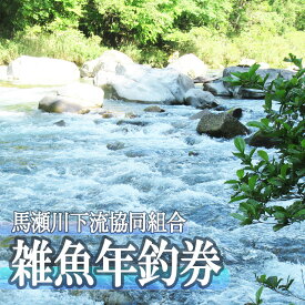 【ふるさと納税】(2026年1月から順次発送)【令和8年】馬瀬川下流 雑魚年釣券（2月21日(土)解禁） 渓流釣り 年券 つり券 アマゴ イワナ あまご いわな 2026年