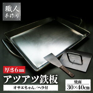 yӂ邳Ɣ[ŁzAcAcSt@~[TCY(6mm)AITGp(9mm)ASpwZbg C   AEghA BBQ o[xL[ Lv W[ O  