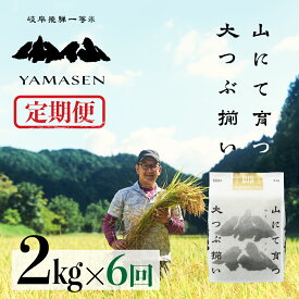 【ふるさと納税】 《令和7年産》【定期便】山仙（いのちの壱） 2kg × 6回 山仙組合（有限会社 すがらたいす） 下呂市 金山産 12キロ 米 お米 精米 白米 いのちのいち ご飯 ごはん 農家直送 送料無料 令和7年 令和7年産 2025年産