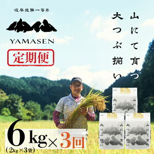 yӂ邳Ɣ[Łz ߘa6NYāyցzRî̈j 6kg × 3 ((2kg×3)×3)RgiL 炽j Cs RY 18L  2024NY     ͂ _ƒ