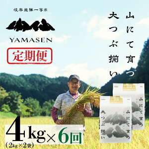 yӂ邳Ɣ[Łz ߘa6NY ߘa7NYyցzRî̈j 4kg (2kg×2) ×6 RgiL 炽j Cs RY 24L  2024NY     ͂ _