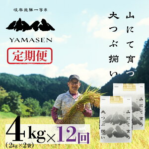 yӂ邳Ɣ[Łz Vė\ yցzRî̈j 4kg (2kg×2) × 12 RgiL 炽j Cs RY 48L  2025NY     ͂ _ƒ 