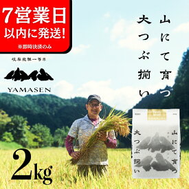 【ふるさと納税】【令和7年産米】山仙 (いのちの壱) 2kg すがたらいす すぐ発送 即納 すぐ届く 下呂市 金山産 2キロ 米 お米 精米 白米 いのちのいち やません ご飯 ごはん 農家直送 送料無料 13000円 令和7年 7年 7年産 2025年 農家直送