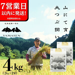 yӂ邳Ɣ[Łzyߘa6NYāzyߘa7NYzR (̂̈) 4kg ( 2kg × 2 ) 炢 Cs RY 4L  2024NY    ̂̂ ܂  ͂ _ƒ 
