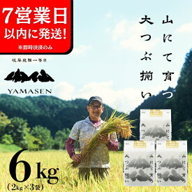 【ふるさと納税】【令和7年産米】山仙 (いのちの壱) 6kg ( 2kg × 3袋 ) すがたらいす すぐ届く 即納 下呂市 金山産 6キロ 米 お米 精米 白米 いのちのいち やません ご飯 ごはん 農家直送 送料無料 37000円