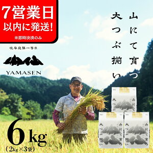 yӂ邳Ɣ[Łzyߘa6NYāzR (̂̈) 6kg ( 2kg × 3 ) 炢 Cs RY 6L  2024NY    ̂̂ ܂  ͂ _ƒ  37000