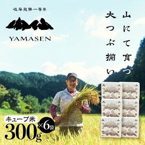 yӂ邳Ɣ[Łzyߘa6NYāzyߘa7NYāzVė\ti2025N10{珇j炢 R (̂̈) L[u 6 i1 300gi2jj^ v`Mtg Mt