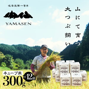 yӂ邳Ɣ[Łzyߘa6NYāzyߘa7NYāzVė\ti2025N10{珇j炢 R (̂̈) L[u 12 i1 300gi2jj^ v`Mtg M