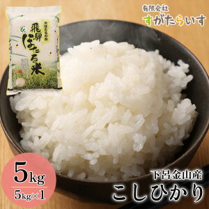 yӂ邳Ɣ[ŁzVė\ti2025N9{珇jyߘa7NYāzЂ 5kg 炢 2025NY    CsRY RVqJ