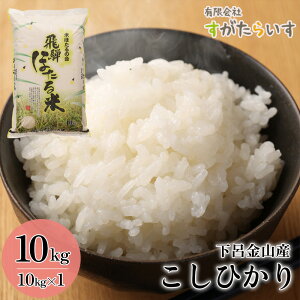 yӂ邳Ɣ[ŁzVė\ti2025N9{珇jyߘa7NYāzЂ 10kg 炢 2025NY    CsRY RVqJ 炢 C