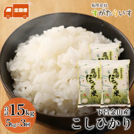 【ふるさと納税】新米予約受付【令和7年産米】【定期便】こしひかり 5kg×3回 すがたらいす 下呂市金山産 2025年産 毎月 お米 米 精米 コシヒカリ 下呂温泉 下呂市 毎月 定期