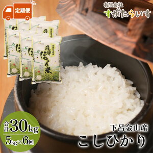 yӂ邳Ɣ[ŁzVė\tyߘa7NYāzyցzЂ 5kg×6 炢 CsRY 2025NY     RVqJ C Cs  