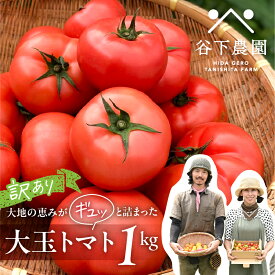 【ふるさと納税】 訳アリ 約 1kg 大地の恵みがぎゅーっと詰まった果肉が厚い大玉トマト 麗月 有機JAS認証 レイゲツ れいげつ とまと 訳あり 下呂温泉 特産品 4000円 岐阜県 下呂市